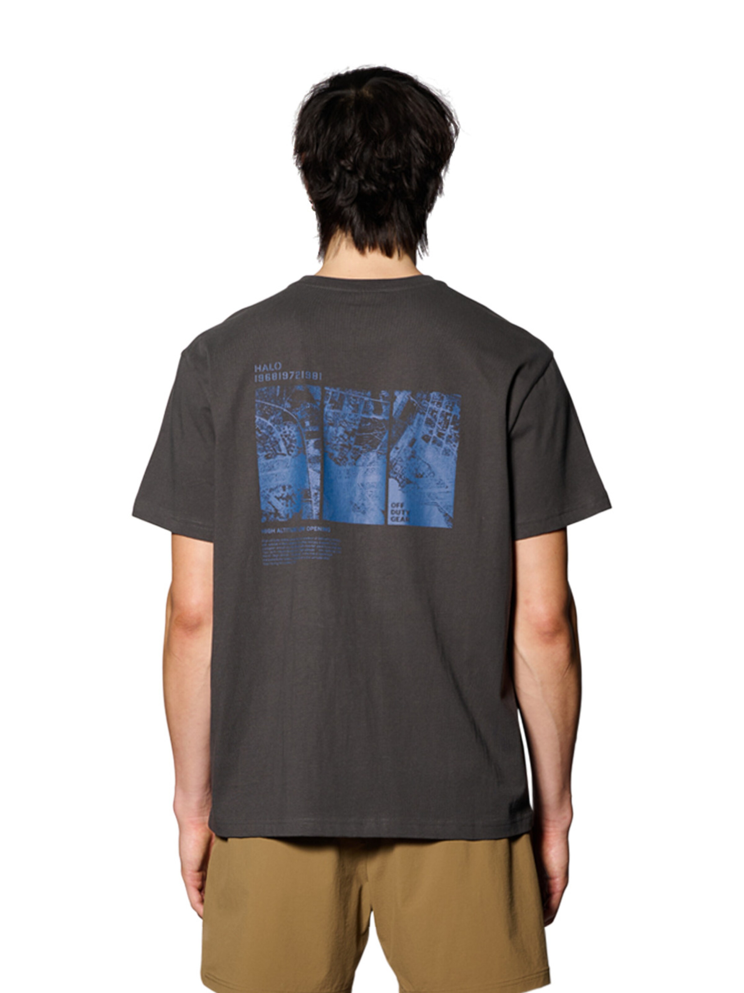 HALO Shirt in Grijs: voorkant