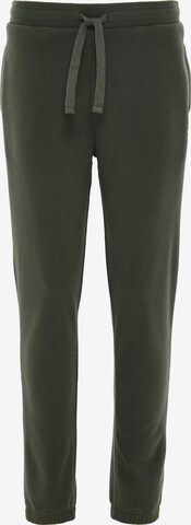Threadbare Tapered Pants in Green: front