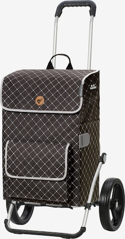 Andersen Shopper Trolley 'Tamo' in Grijs: voorkant