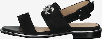 PETER KAISER Sandals in Black