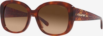 COACH Солнцезащитные очки в Коричневый: спереди