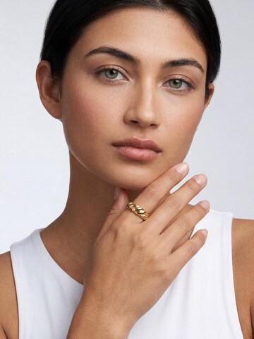 Akitsune Ring 'Passion' in Gold: front