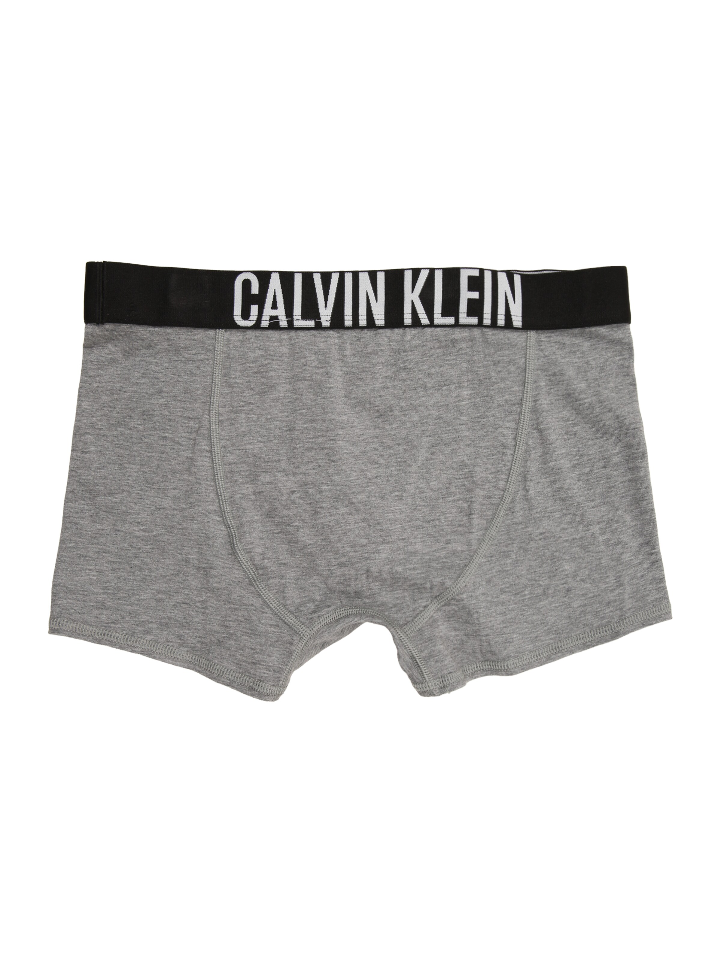 Calvin Klein Underwear Underpants in Grey