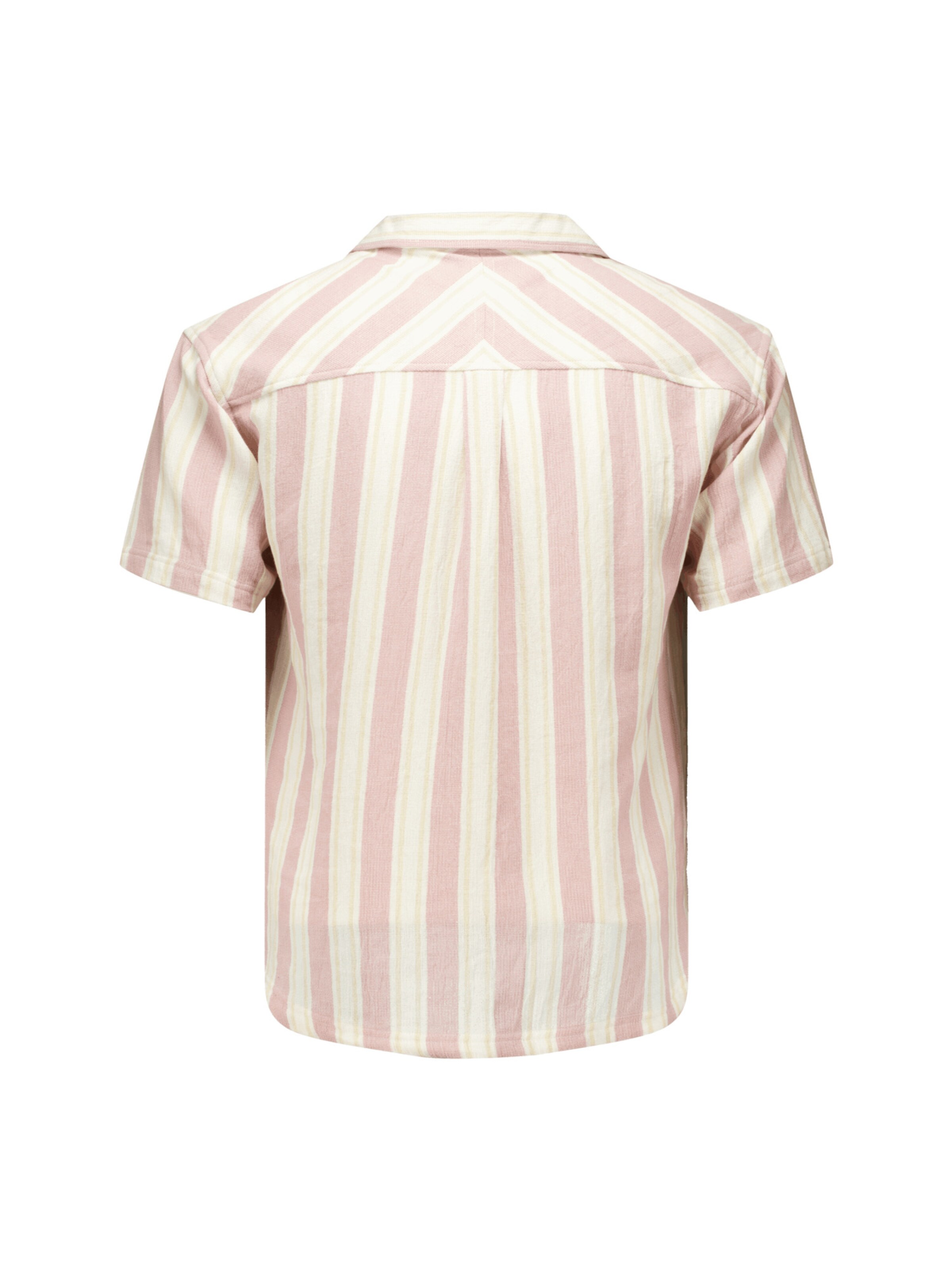 Coupe regular Chemise 'Curries' Deeluxe en rose