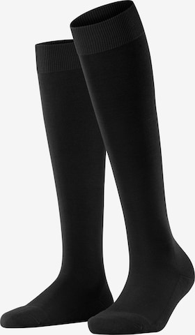 FALKE Knee High Socks 'ClimaWool' in Black: front
