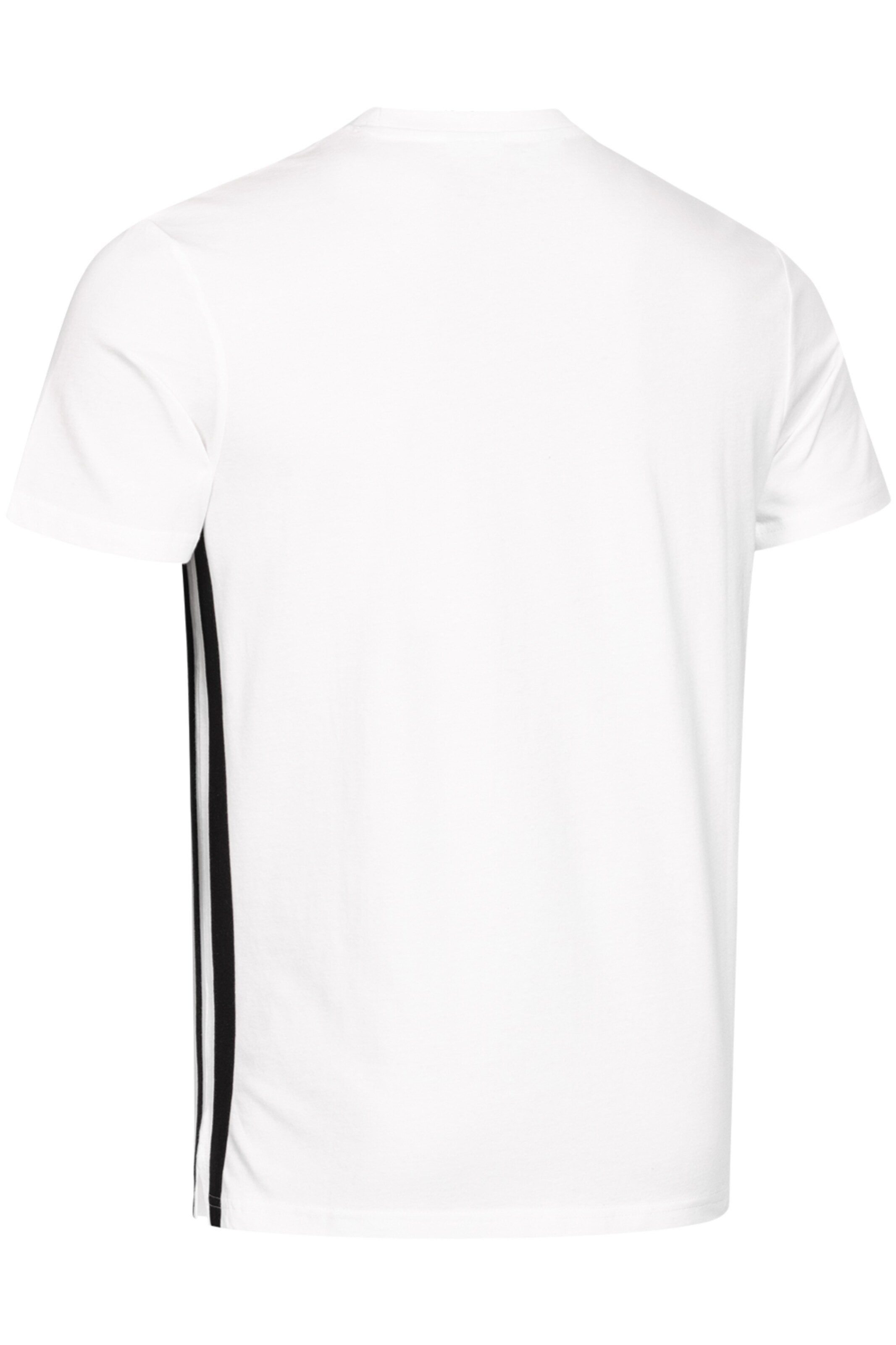 LONSDALE Футболка 'Shegra' в Белый