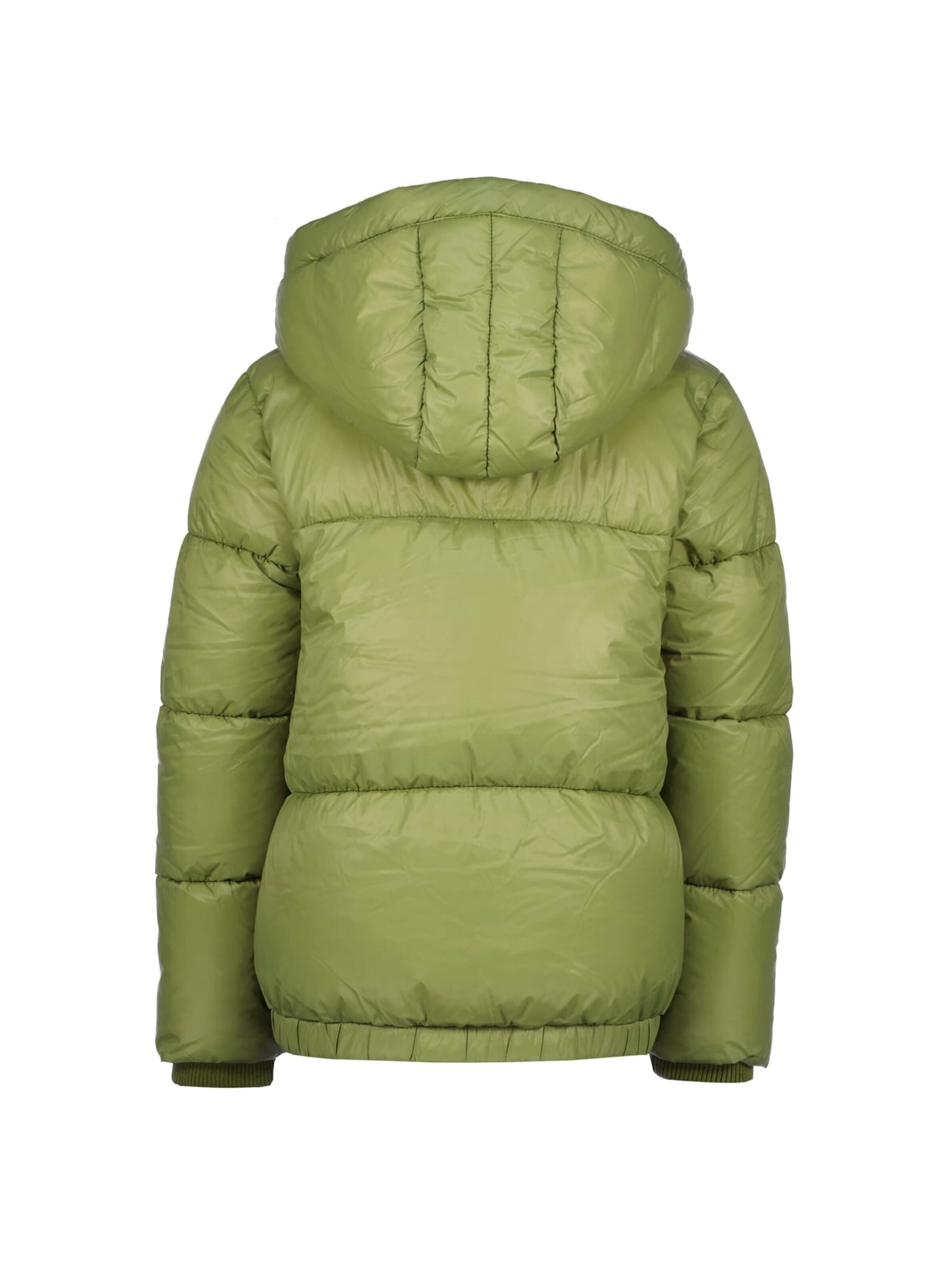 Raizzed Winterjas in Groen
