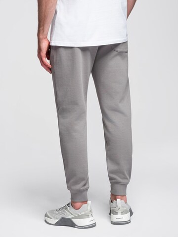 Ombre - regular Pantalón deportivo en gris