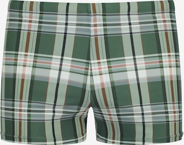 wavebreaker Swim Trunks in Green: front