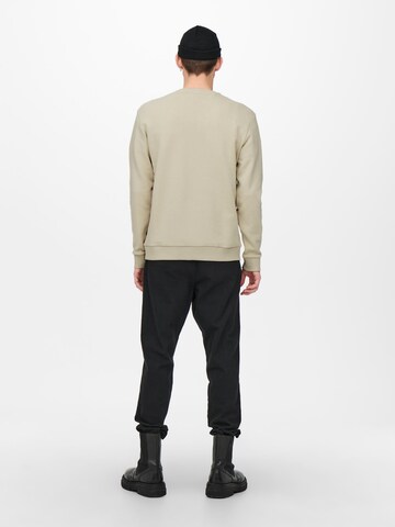 Only & Sons Regular Fit Sweatshirt 'Ceres' in Grau