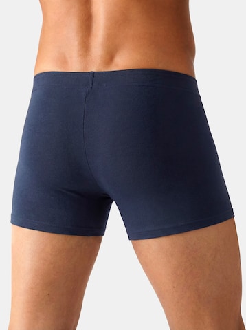 JOHN DEVIN Boxer shorts in Blue