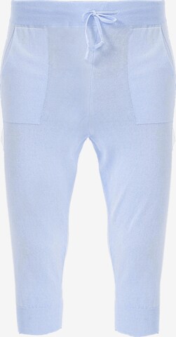 Felix Hardy Skinny Παντελόνι φόρμας σε μπλε: μπροστά