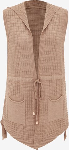 CAILYN Gebreid vest in Beige: voorkant