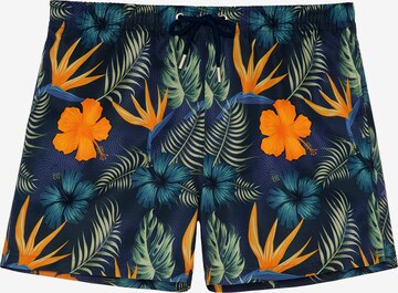HOM Board Shorts ' Tiki ' in Blue: front