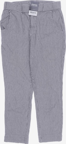 HOLLISTER Pants in 31-32 in Grey: front