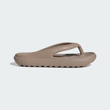 Tongs 'Adilette Lumia'' ADIDAS SPORTSWEAR en marron