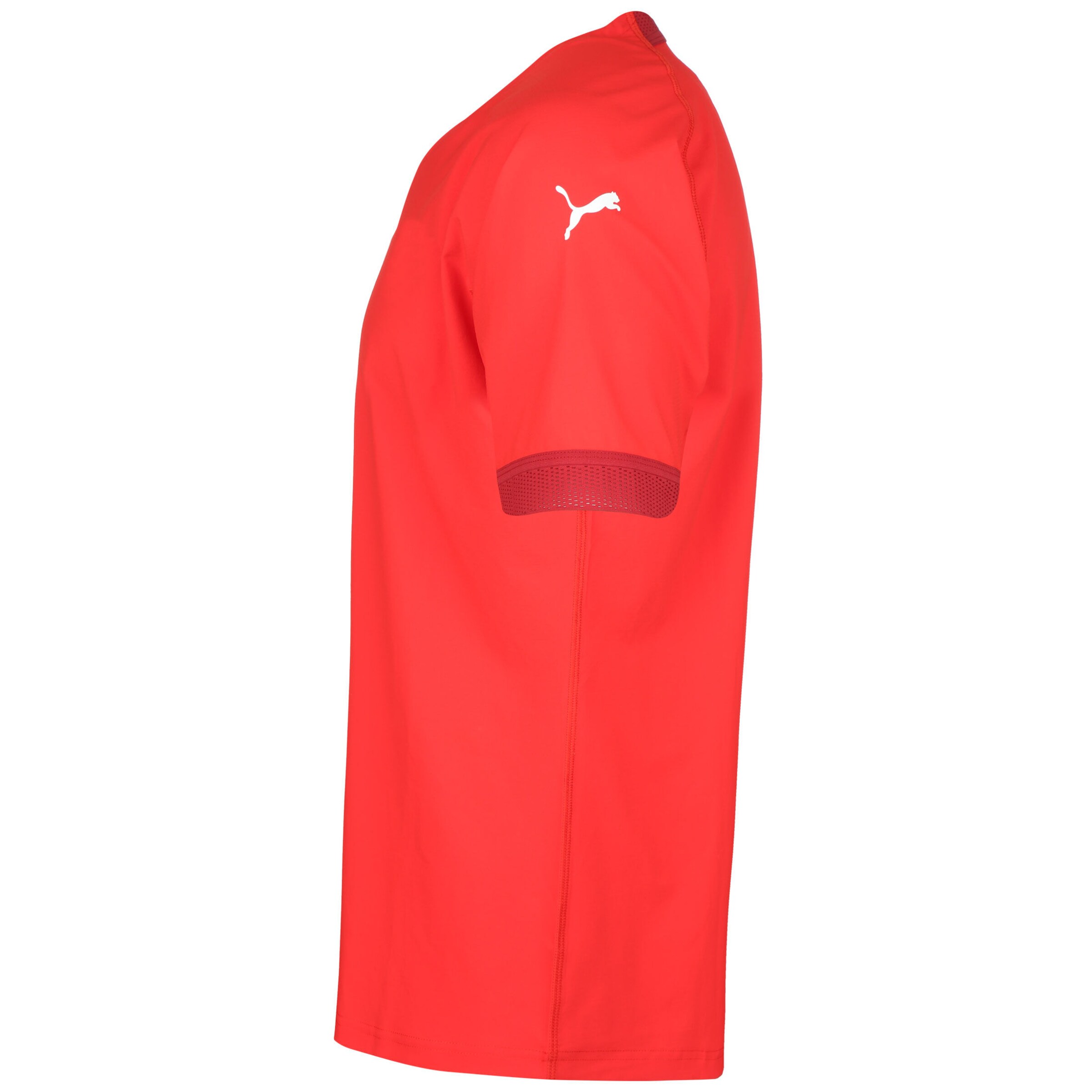 PUMA Trikot 'Team Final' in Rot