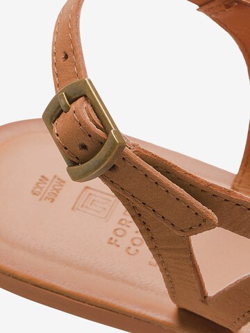 Next Varvastossut 'Forever Comfort' värissä ruskea