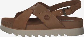 TIMBERLAND Sandals 'Santa Monica' in Brown