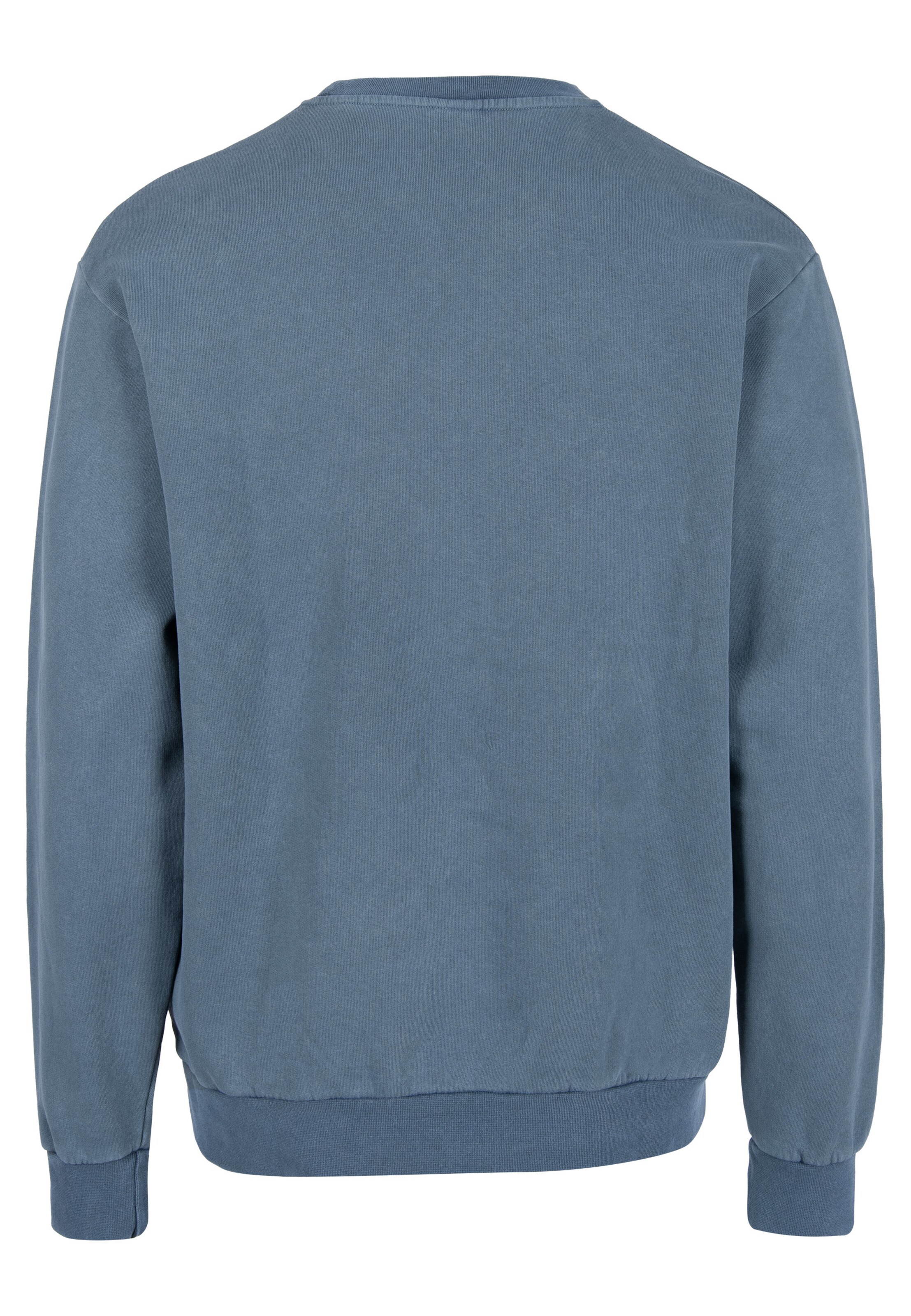 Sweat-shirt Iriedaily en bleu