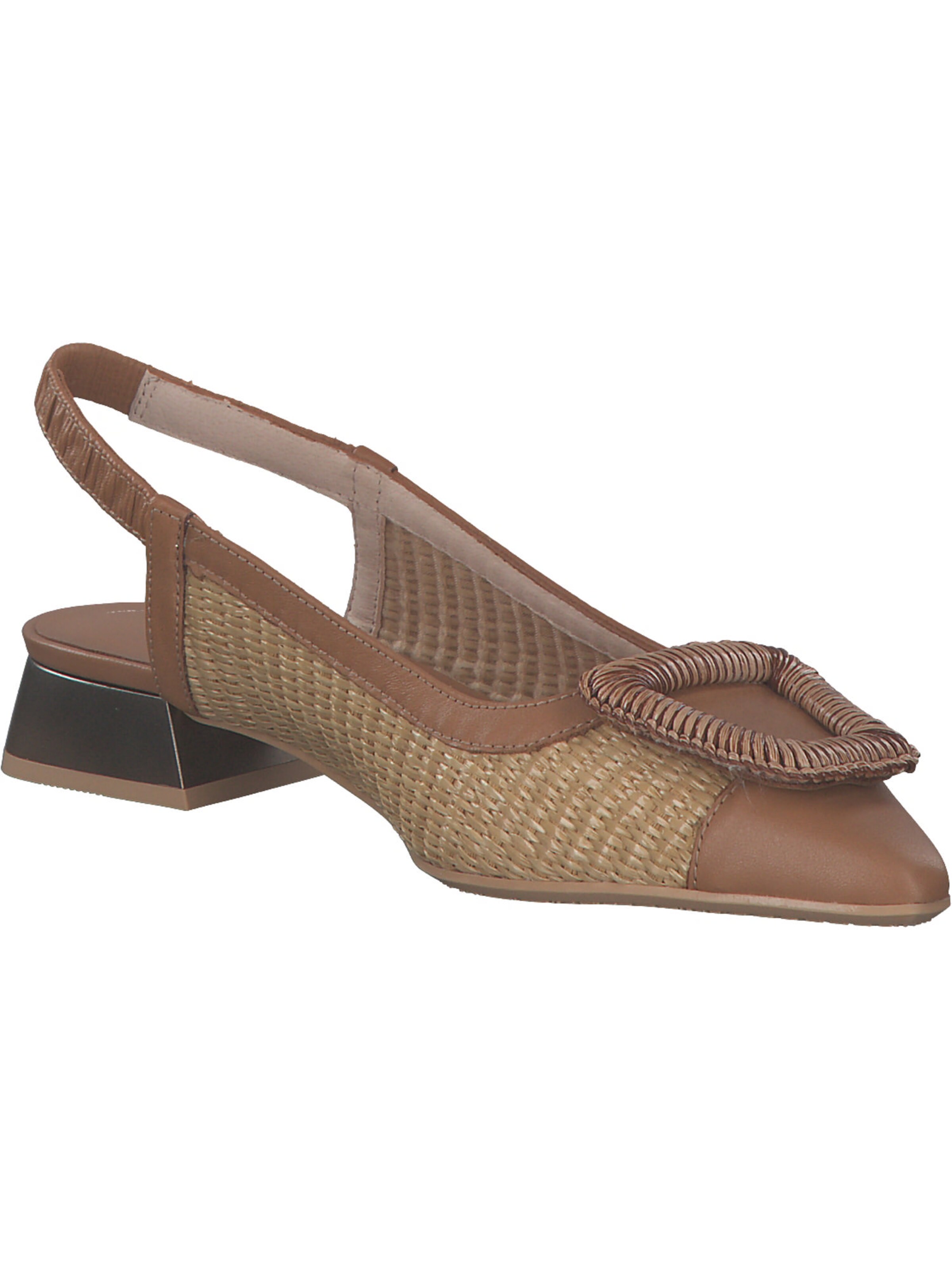 Hispanitas Ballerina 'Dali' in Bruin