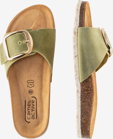 CAMEL ACTIVE Mules in Green