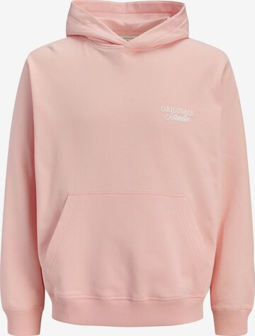 JACK & JONES Sweatshirt 'JORNorrebro' in Pink: Vorderseite