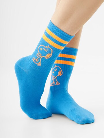 CODELLO Socks in Blue