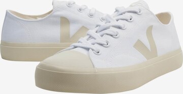 Sneaker bassa di Veja in bianco