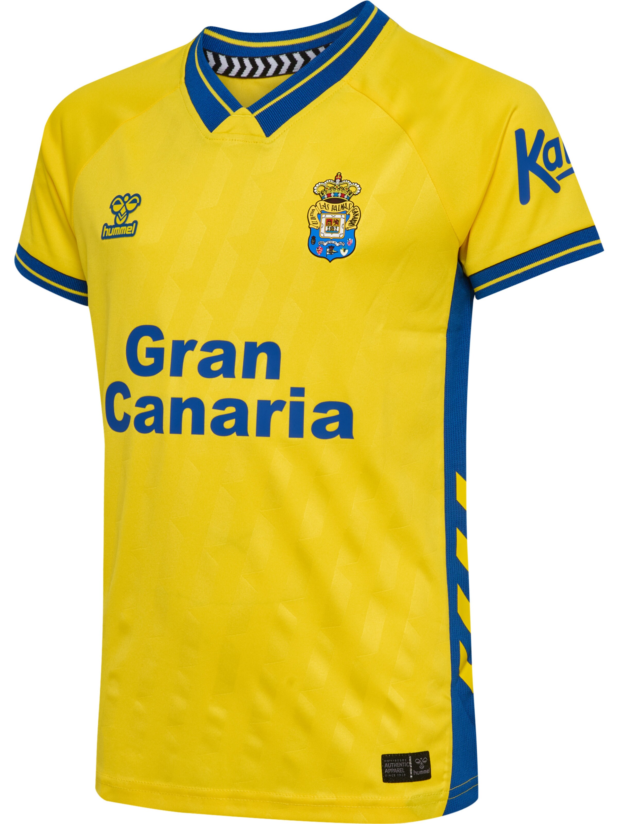 Hummel Funktionsskjorte 'UDLP 25/26 Home' i gul