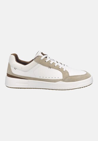 JOSEF SEIBEL Sneaker Donovan 06 in Beige