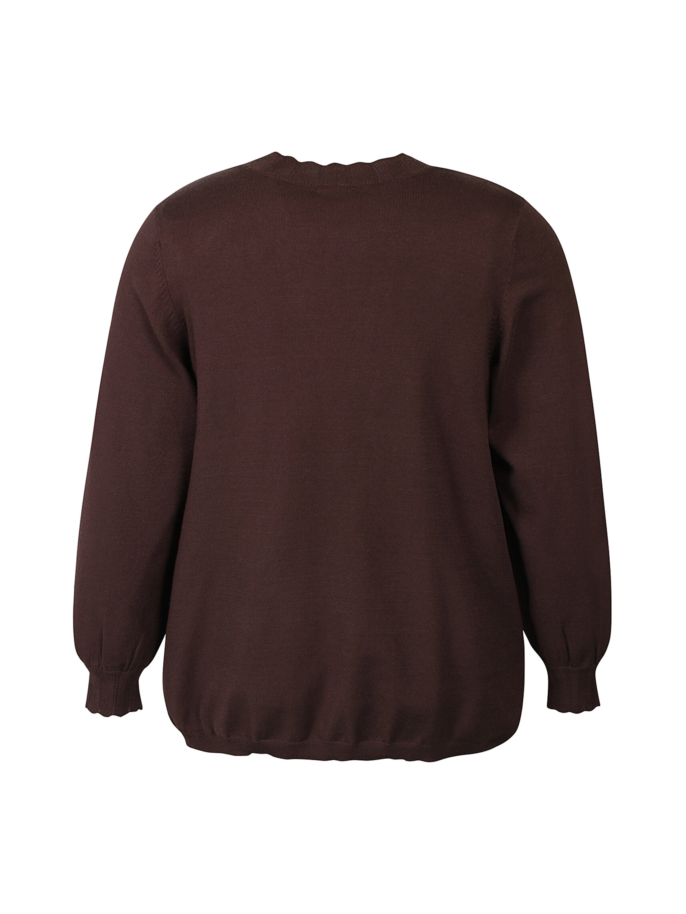 Zhenzi Sweater 'Kogle 1493' in Brown