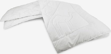 Aspero Blankets 'RENNES' in White: front