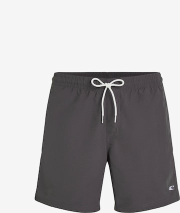 Pantaloncini da bagno 'Vert' di O'NEILL in grigio: frontale