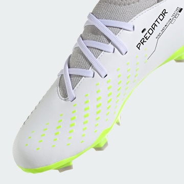 Chaussure de sport 'Predator Accuracy.3' ADIDAS PERFORMANCE en blanc