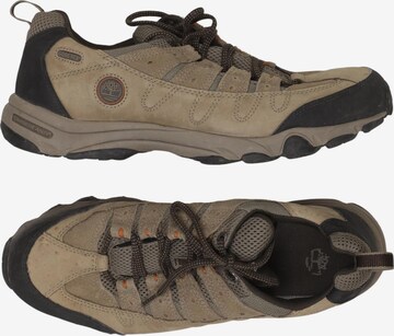 TIMBERLAND Sneaker 45,5 in Beige: Vorderseite