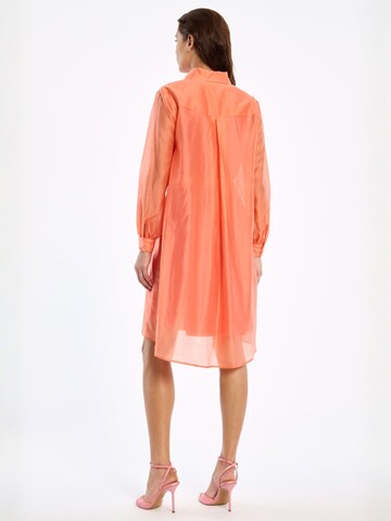 Ana Alcazar Kleid in Orange