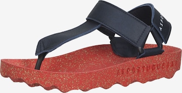 Asportuguesas Teenslipper in Blauw: voorkant