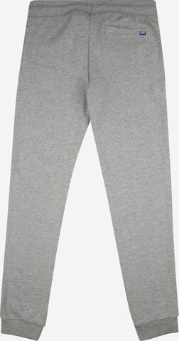 Jack & Jones Junior Tapered Pants 'Gordon' in Grey