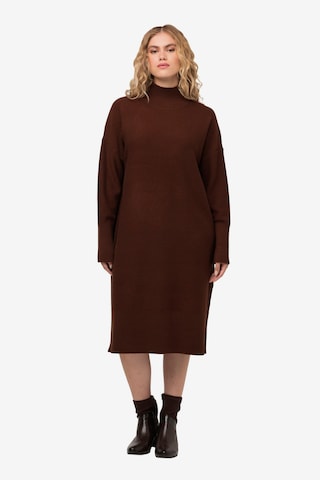 Ulla Popken Knitted dress in Brown: front