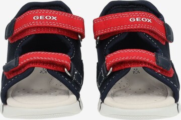 GEOX Open schoenen in Blauw