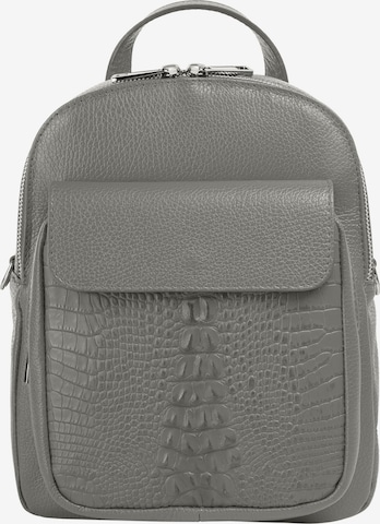 Cluty Backpack in Grey: front
