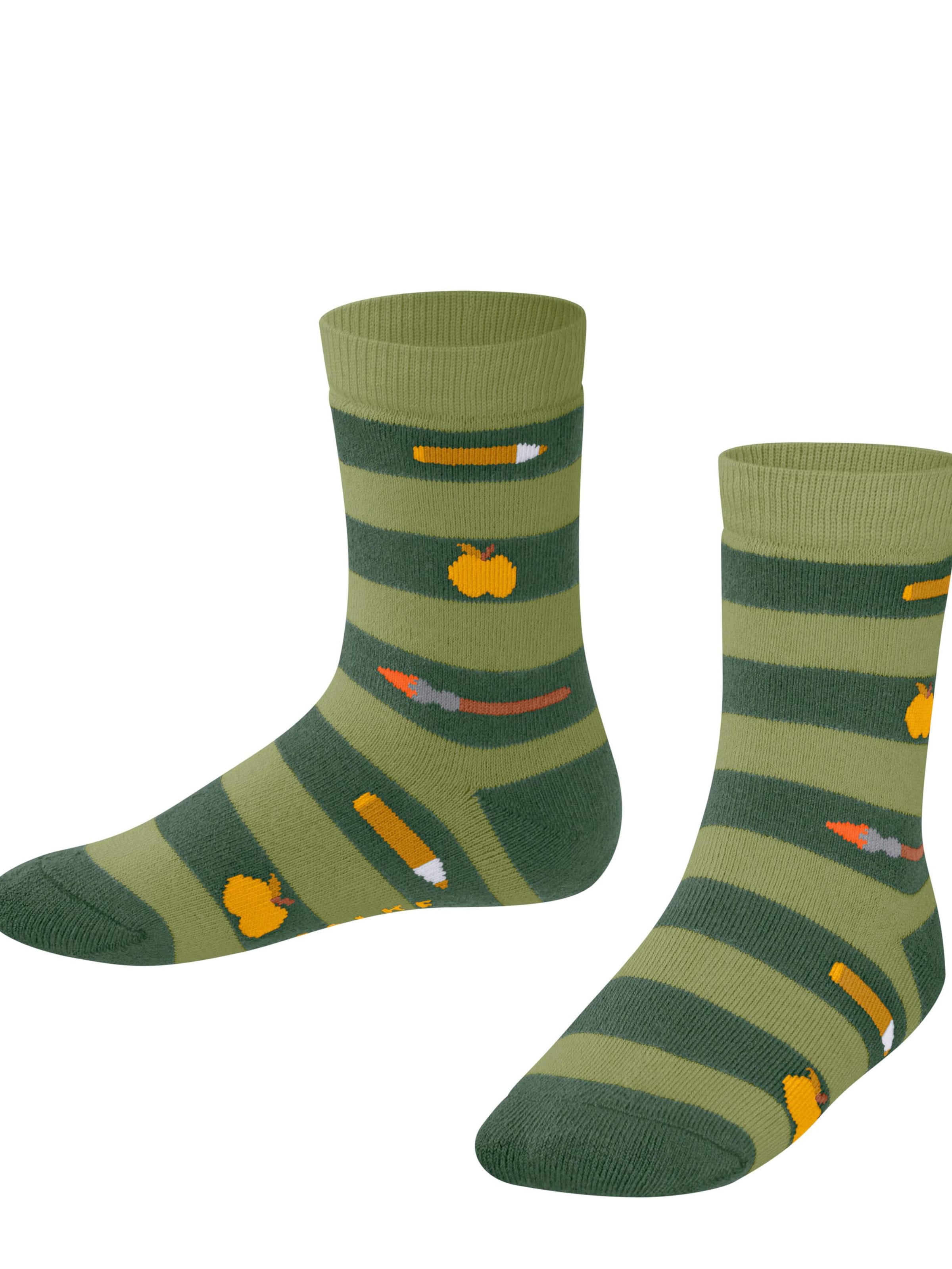 FALKE Socks 'School Supplies' in Green: front