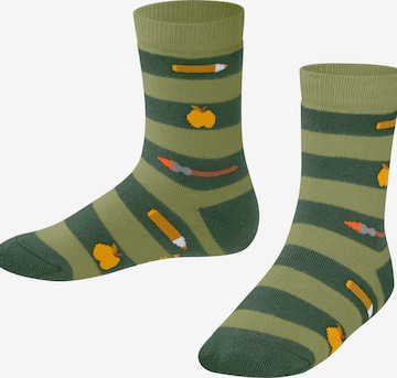 FALKE Socks 'School Supplies' in Green: front