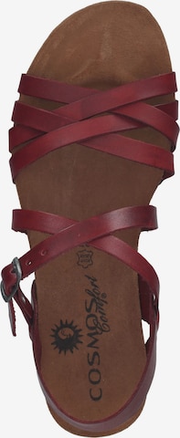 COSMOS COMFORT Sandalen met riem in Rood