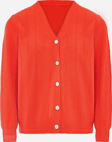 SANIKA Knit Cardigan in Orange: front