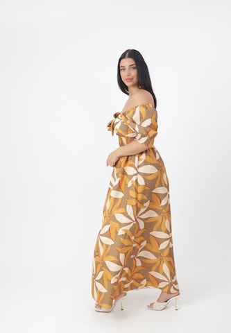 Elara Dress in Brown