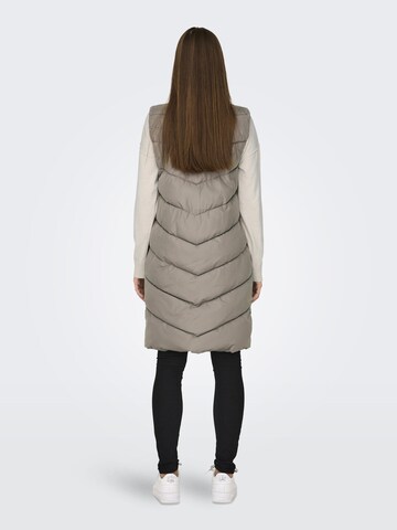 Gilet 'Finno' JDY en gris