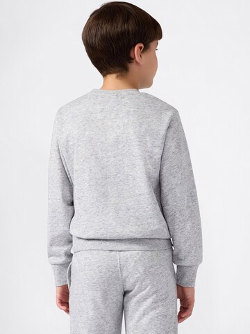 Champion Authentic Athletic Apparel Свитшот в Серый