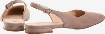 Högl Ballet Flats with Strap in Grey